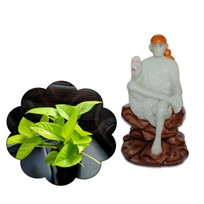 "Mixed Roses flower basket - Click here to View more details about this Product